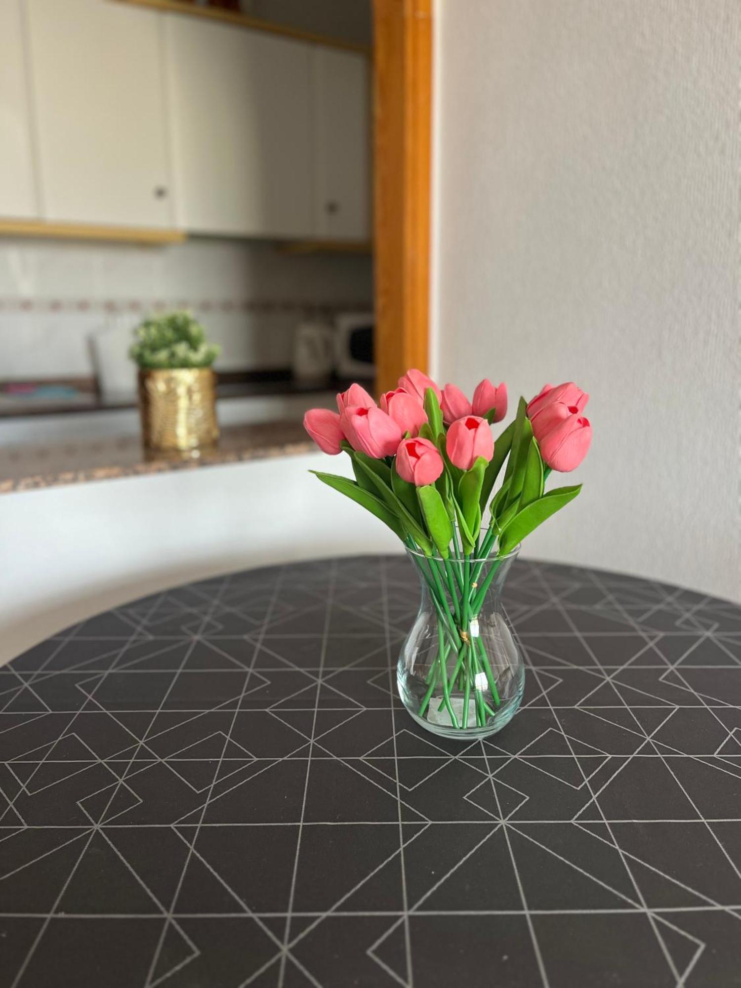 Sea Viev La Mata Apartment Torrevieja Bagian luar foto