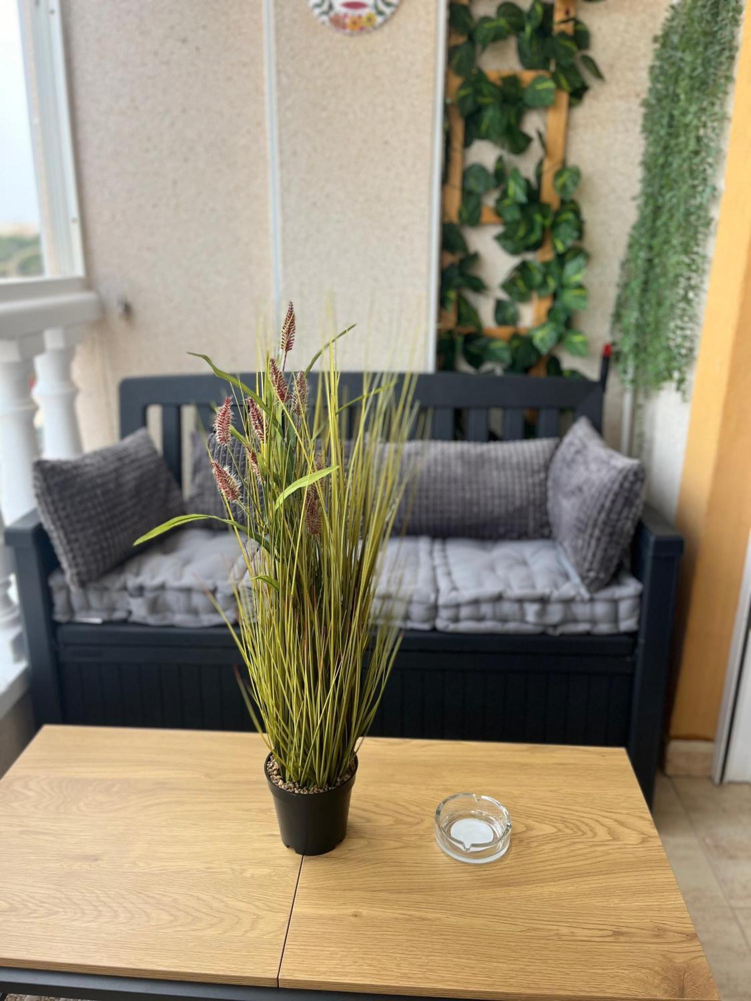 Sea Viev La Mata Apartment Torrevieja Bagian luar foto